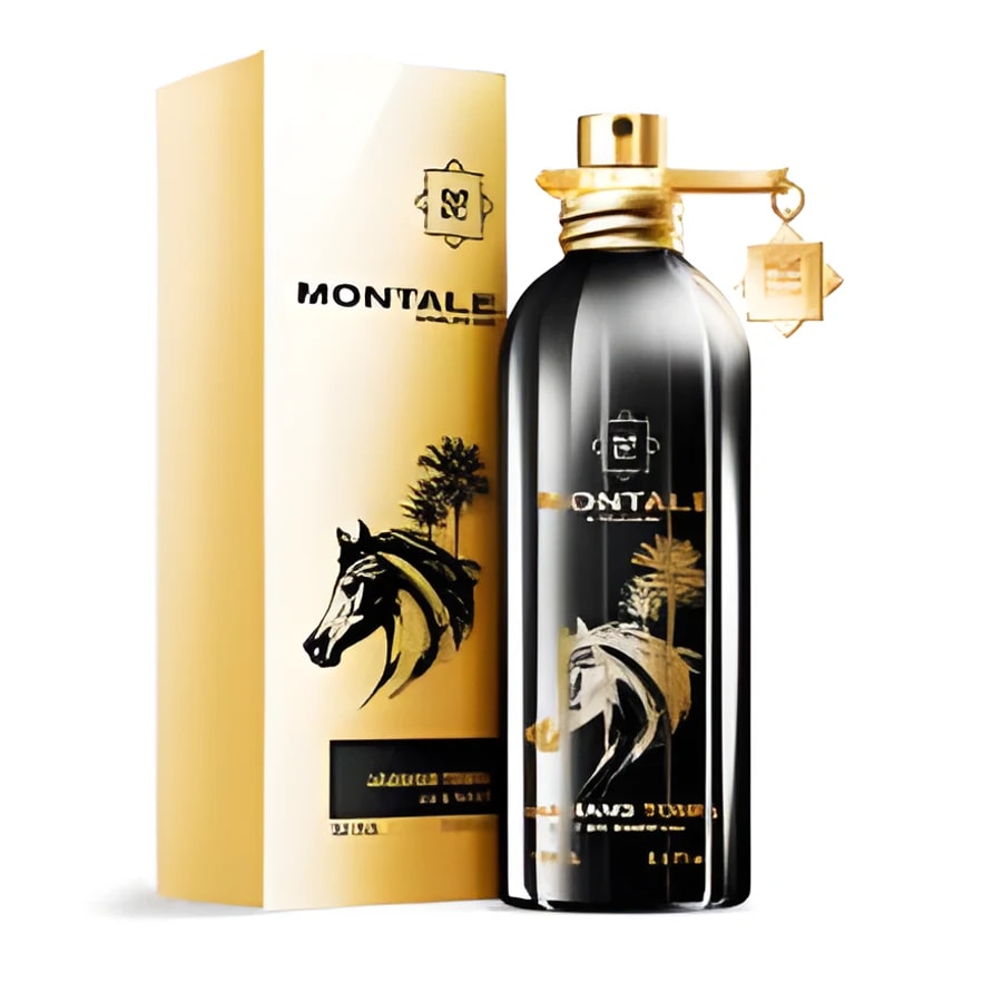 Arabians Tonka de Montale